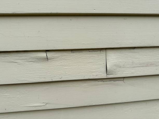 Reliable Dupont, WA Siding Solutions